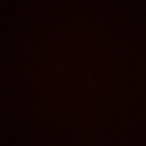 Meet your Posher, Kyleigh